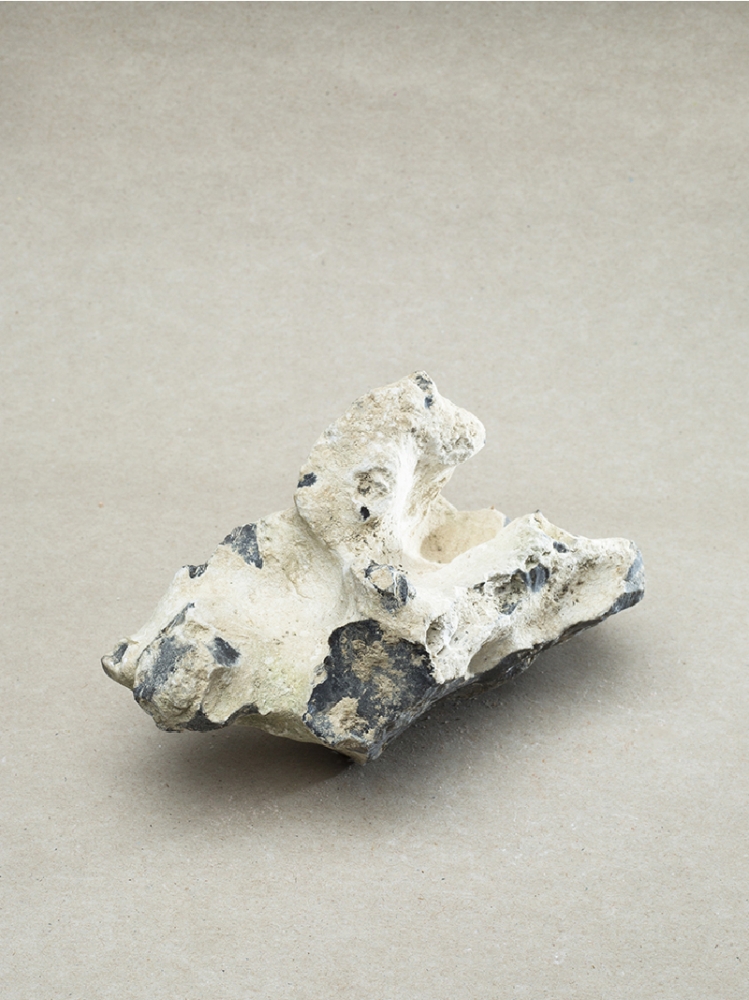 « Yes, I am palimpsest too »