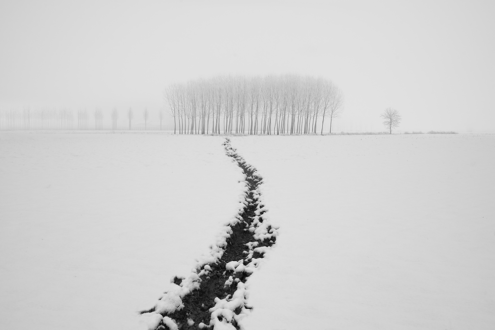 Tracks