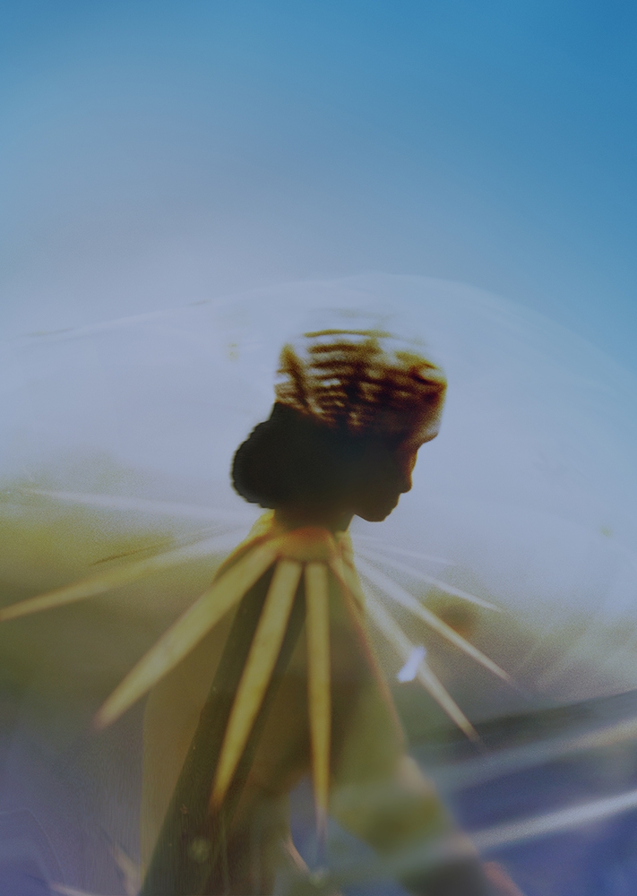 MIDNIGHT IN THE JUNGLE.