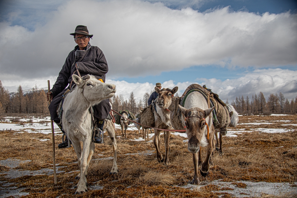 Home With The Reindeer Herders