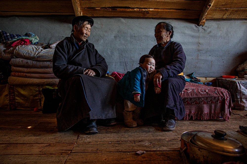 Home With The Reindeer Herders