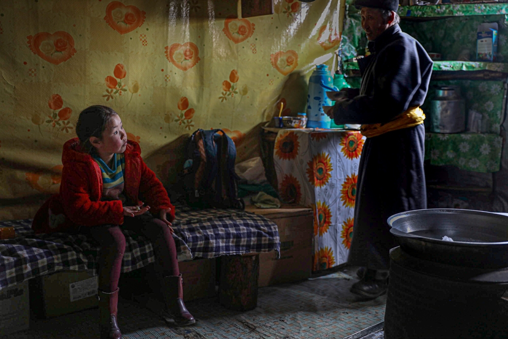 Home With The Reindeer Herders