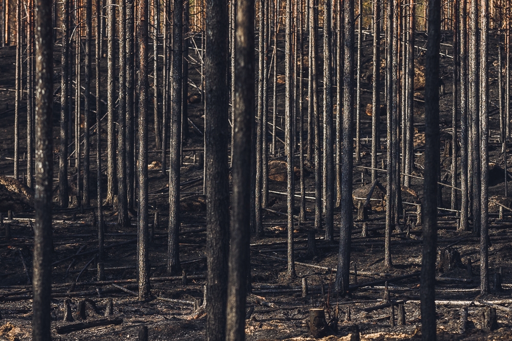 When the fire goes out…