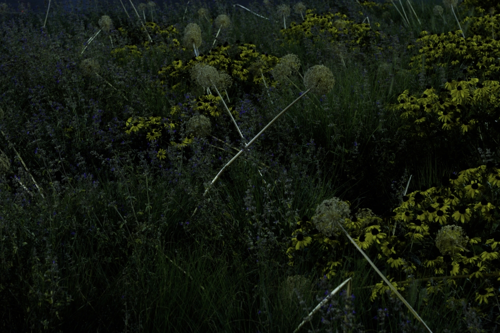 Strange place, the Night