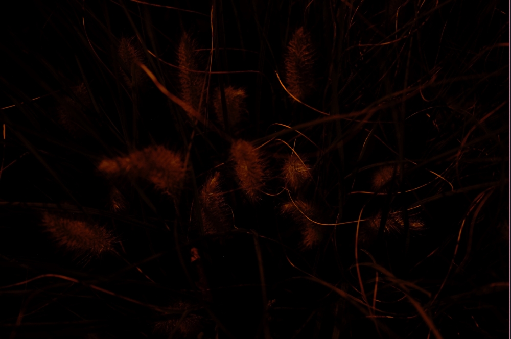 Strange place, the Night