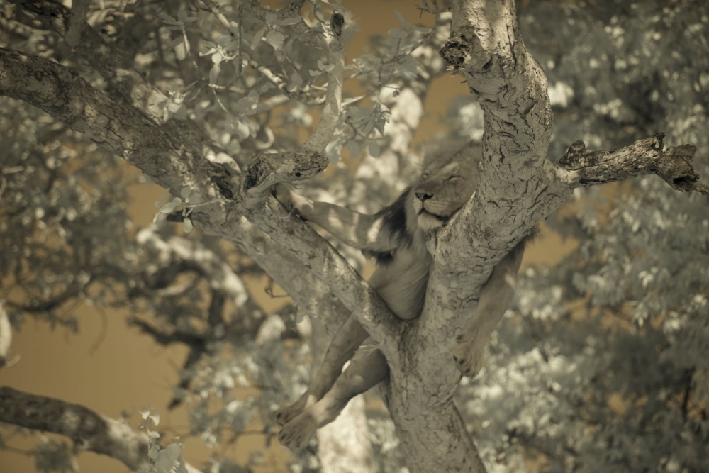 In a different light