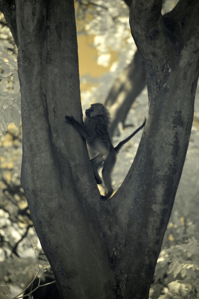 In a different light