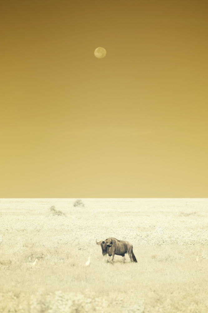 In a different light