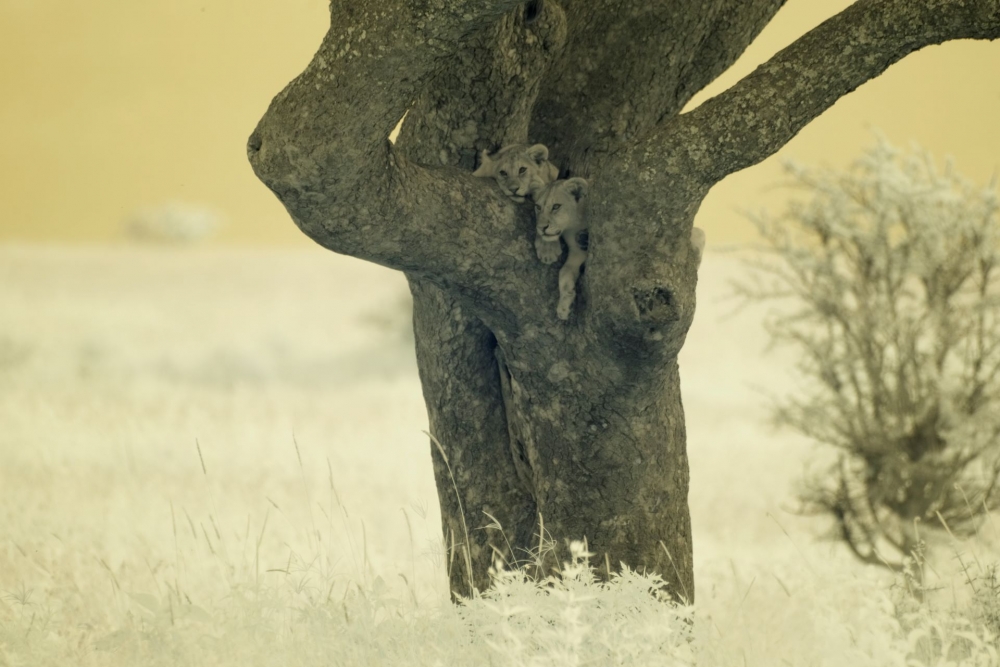 In a different light