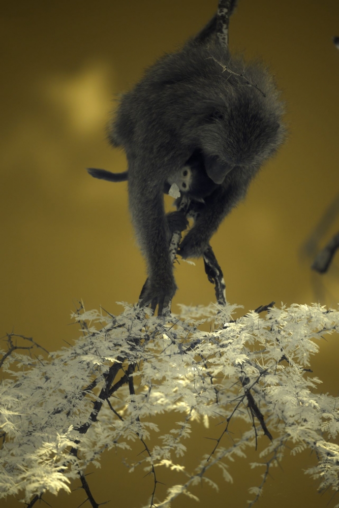 In a different light