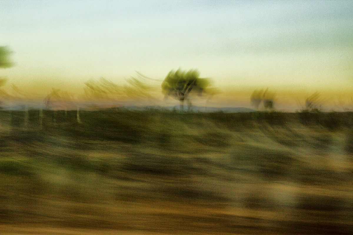 Annual Photography Awards winner EDWARD LANCE MONTGOMERY