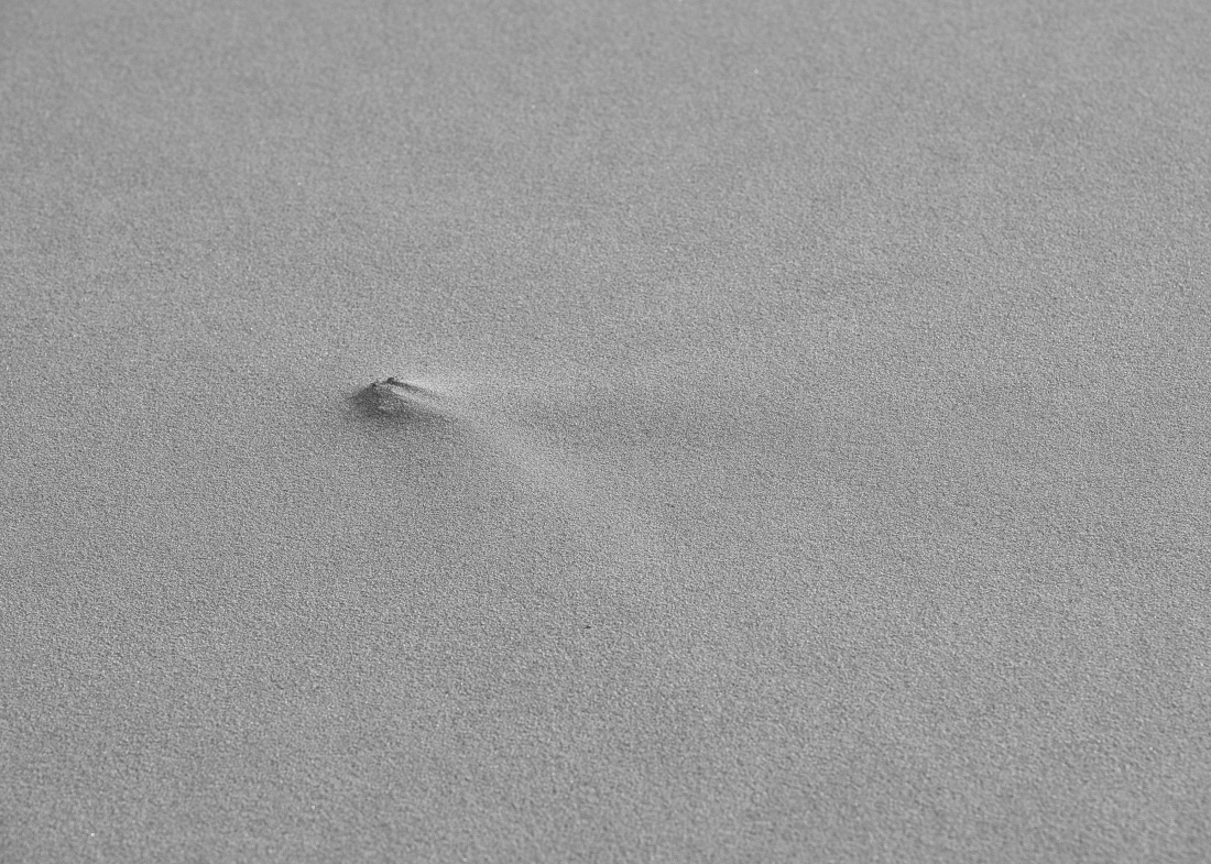 sensuality of sand