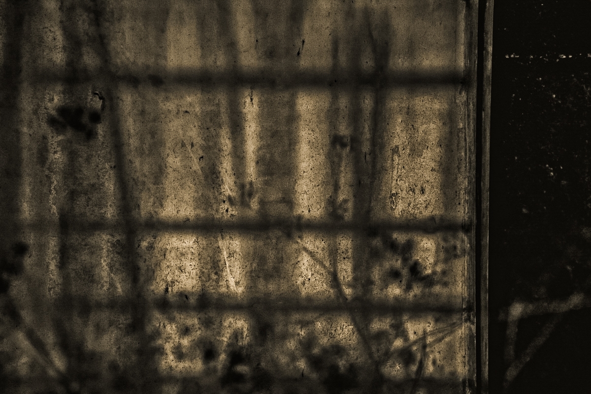 A greenhouse mystery