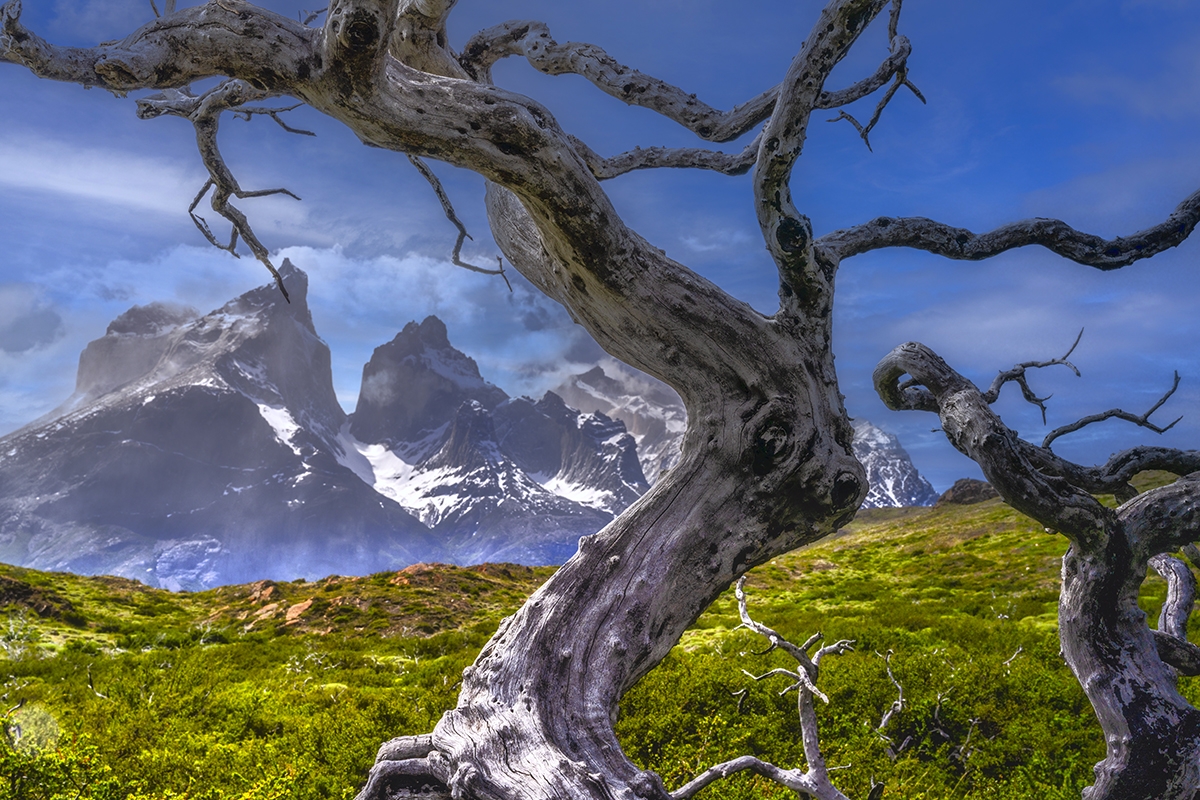 Torres de Paine 