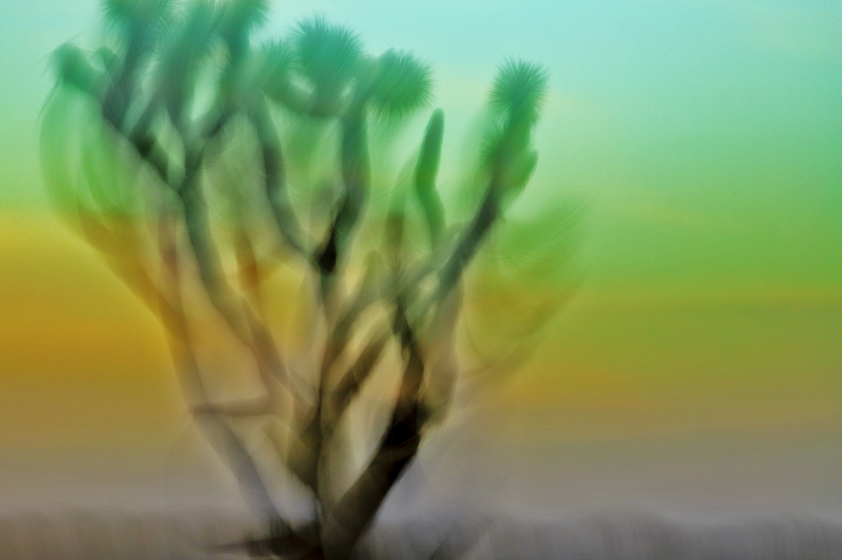 Kinetic Ambiguity Project, Vistas 2024