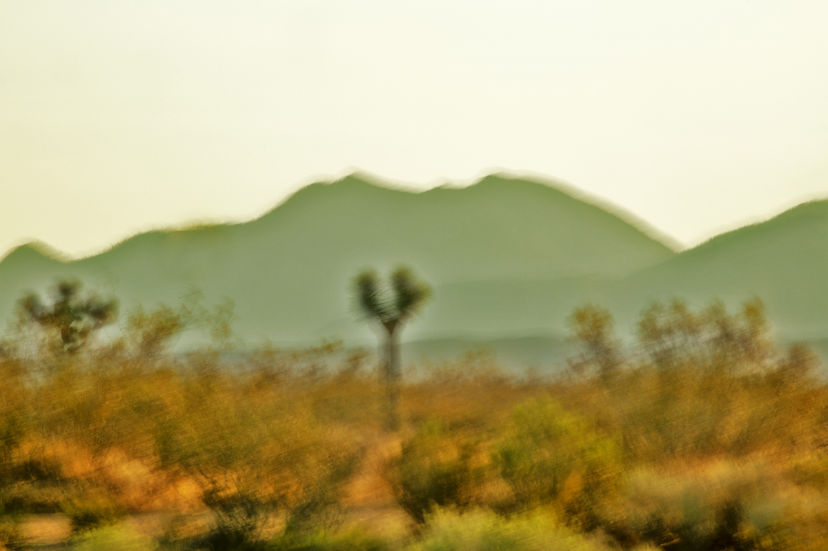 Kinetic Ambiguity Project, Vistas 2024