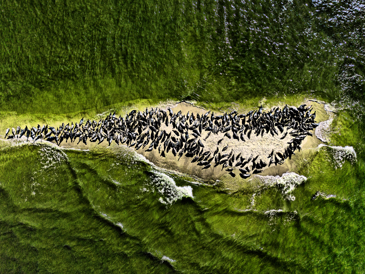 Unobvious Poland from above.