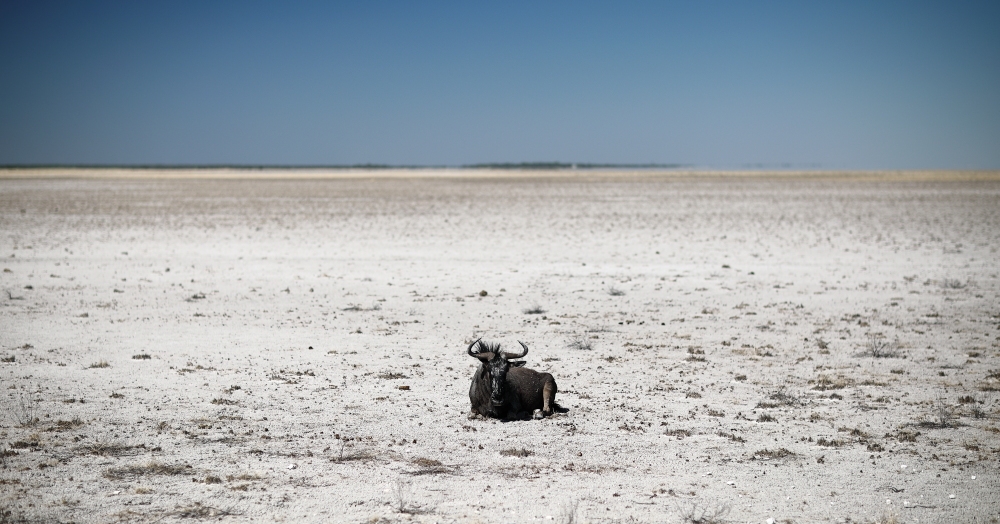 Life in the middle of nowhere
