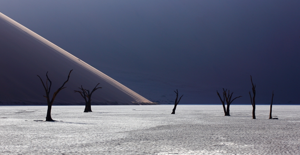 Sand dunes and trees’ skeltons