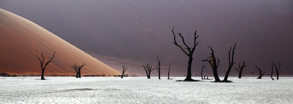 Sand dunes and trees’ skeltons