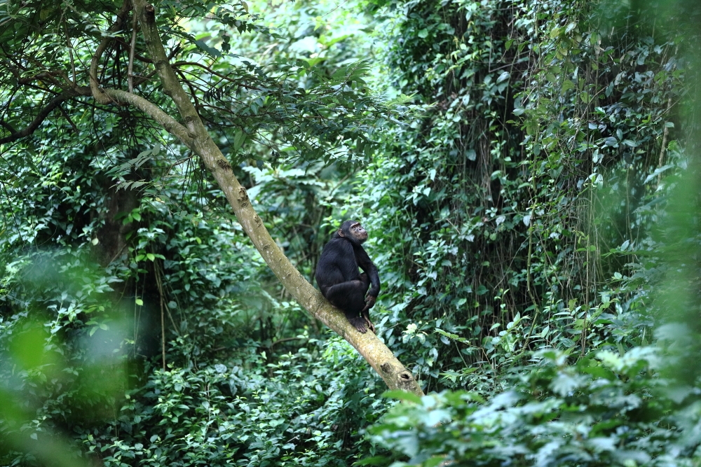 Life is great, isn’t it ?