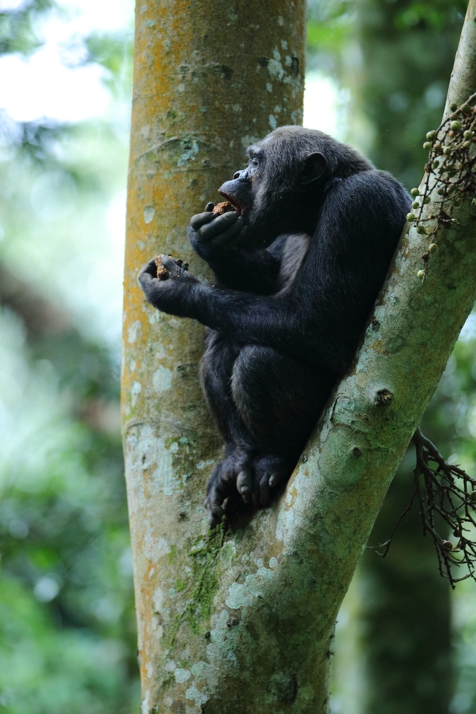 Life is great, isn’t it ?