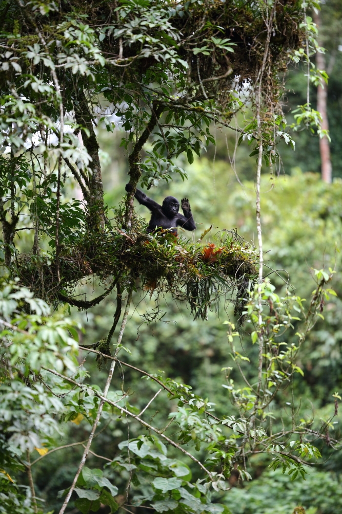 Life is great, isn’t it ?