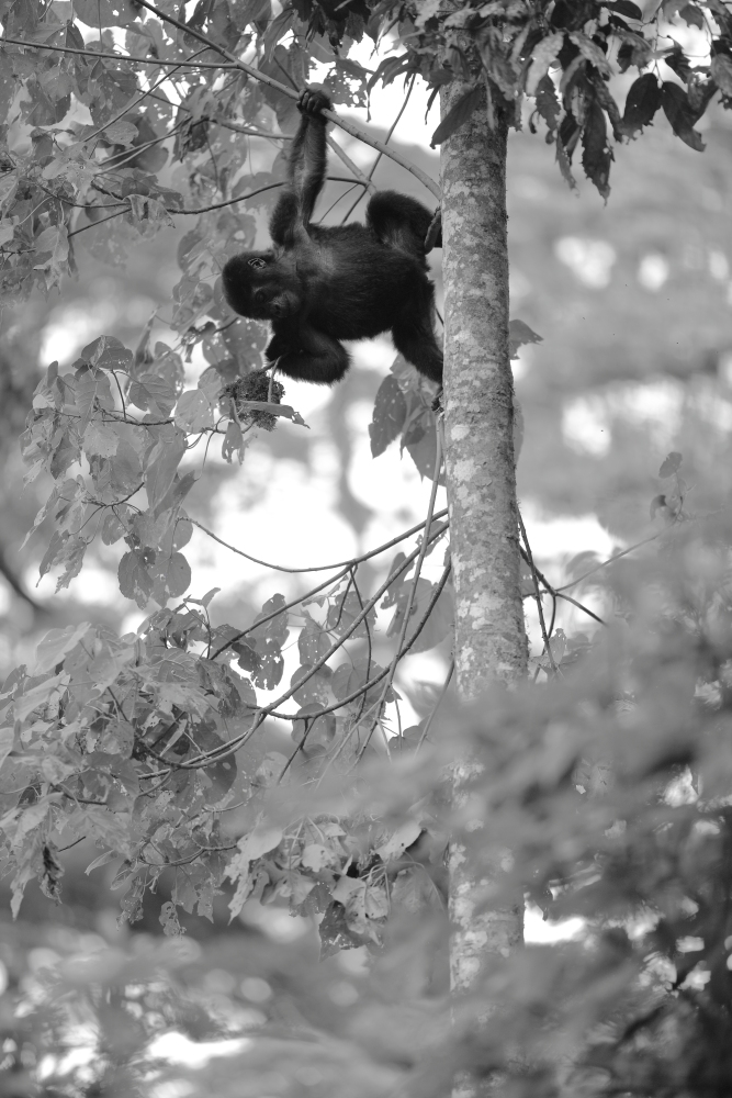 Life is great, isn’t it ?