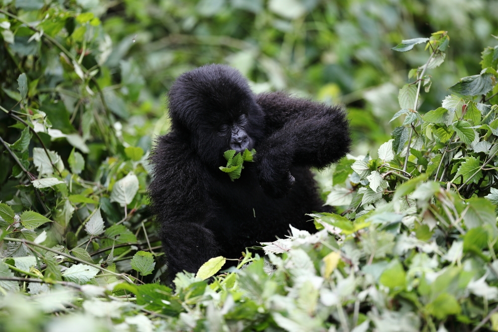 Life is great, isn’t it ?