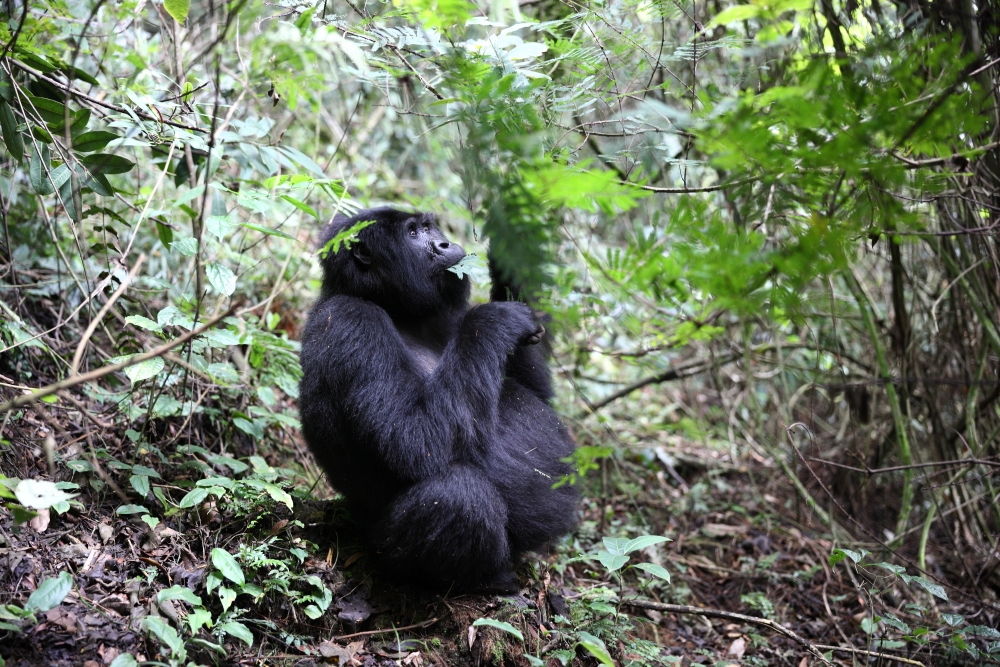 Life is great, isn’t it ?