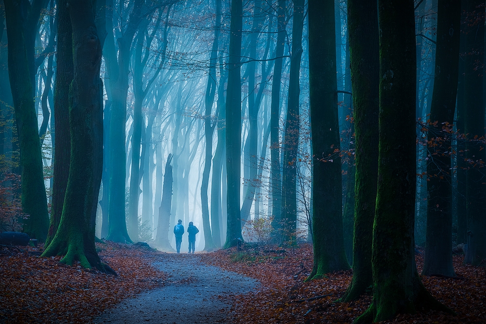 Path to the Unknown II