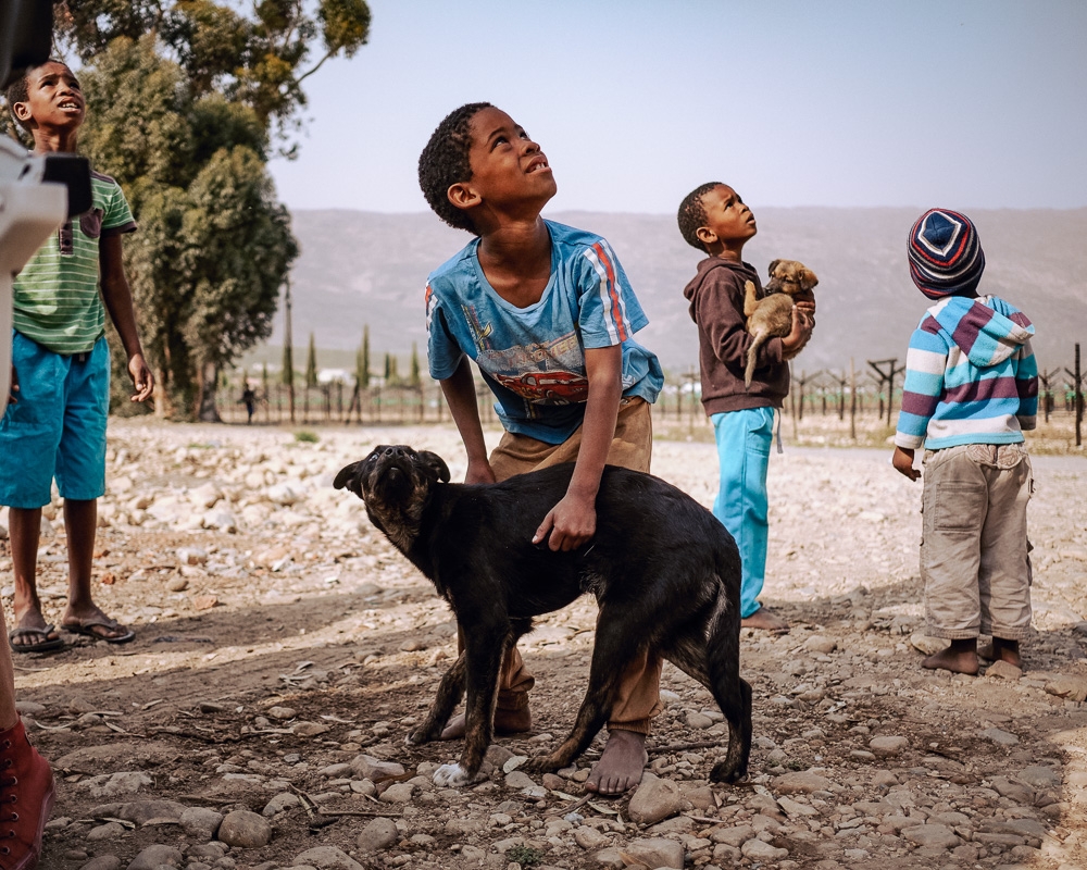 The Dogs of De Doorns, and Their People