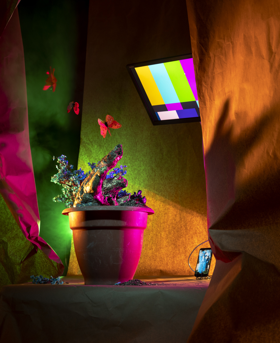 To Redecorate a Dream