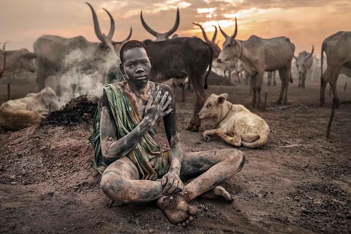 The Kings of the Cattle