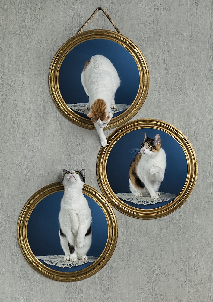 In and out of the frame