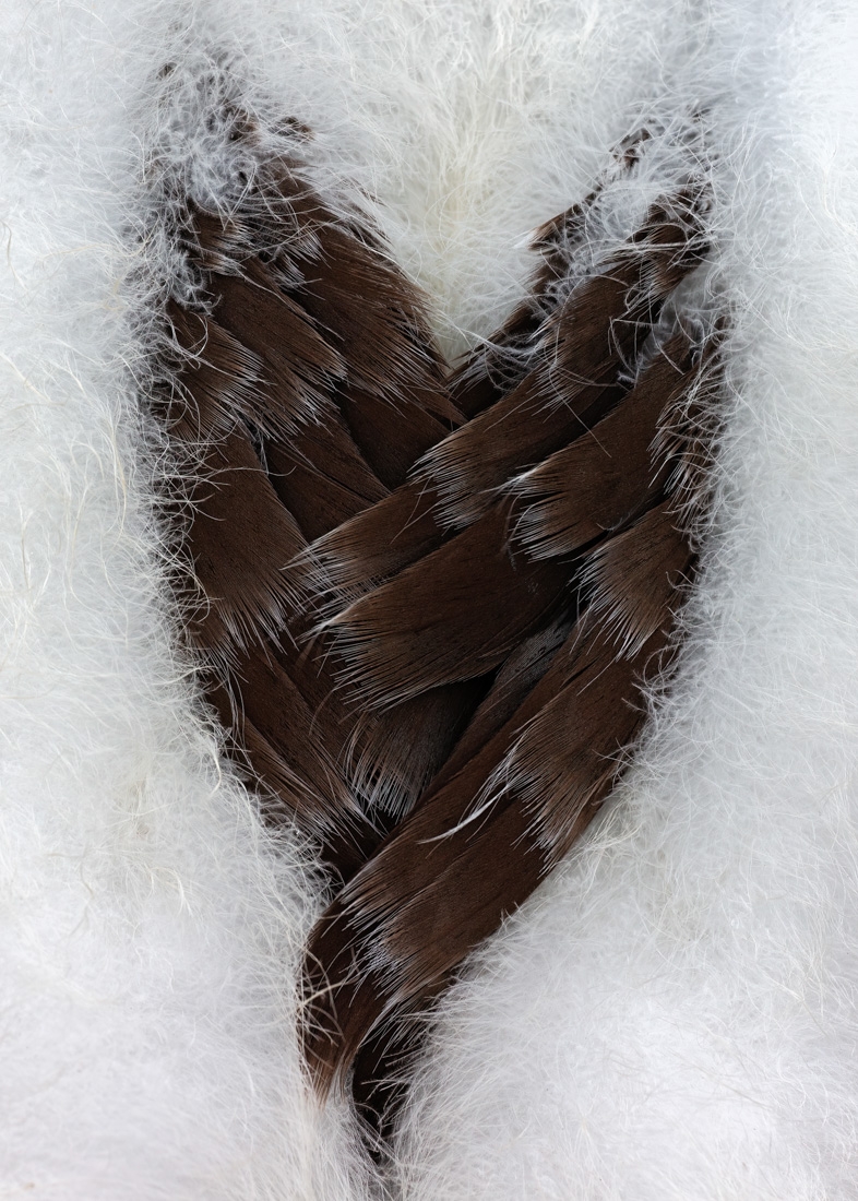 Heart of Feathers