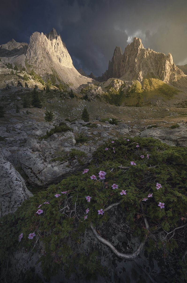 Luminescent Peaks: A Global Ode to Mountain Light