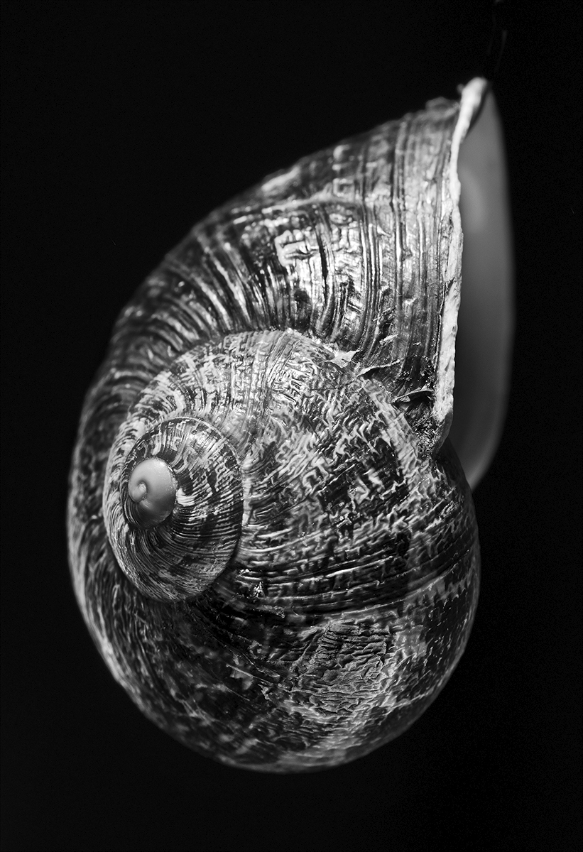 Annual Photography Awards winner UMBERTO ROMAGNOLI