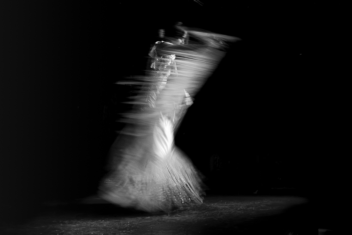Art in motion