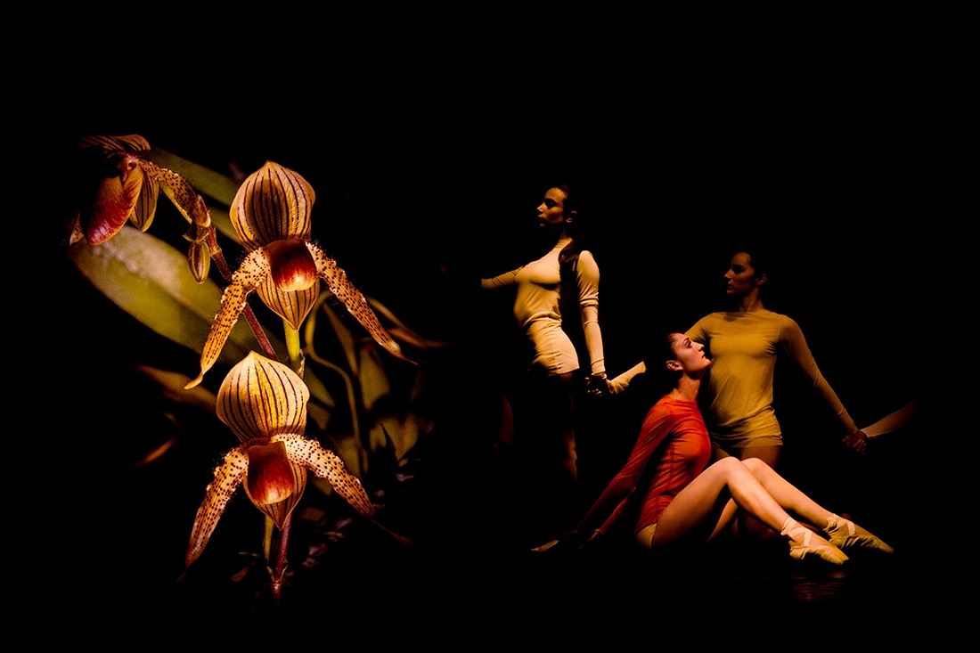 Natural, like dancing