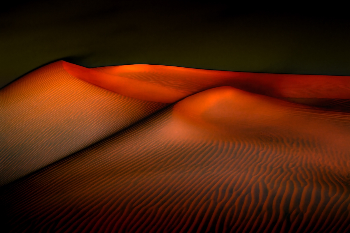 Desert Dreams