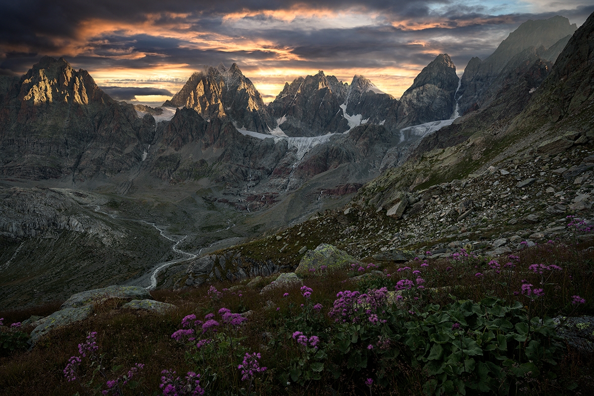 Wild Alps