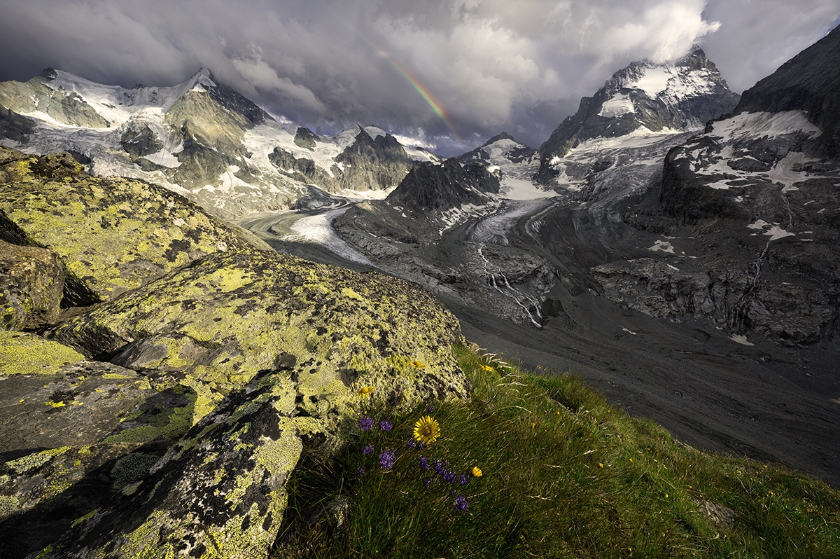 Wild Alps