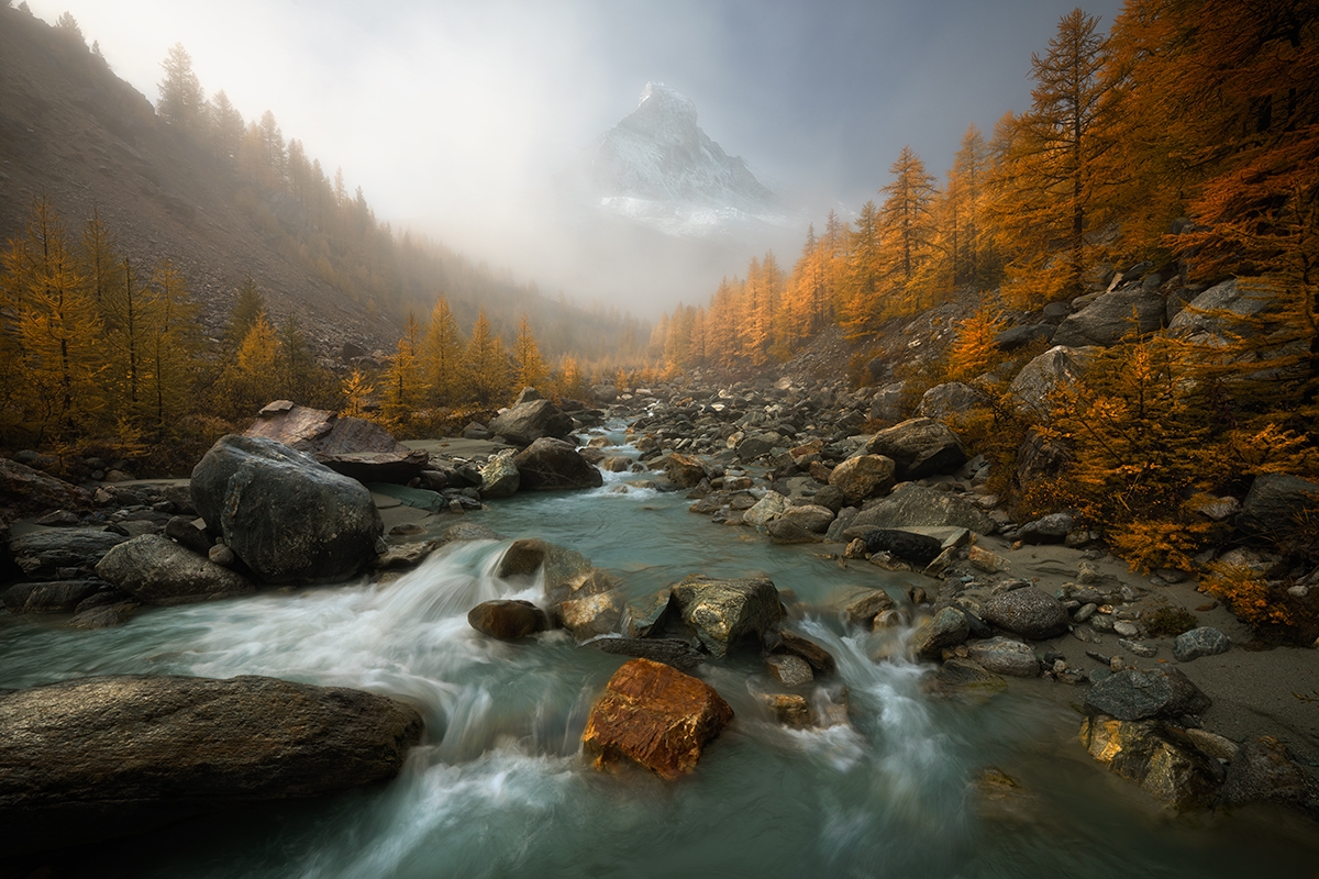 Wild Alps