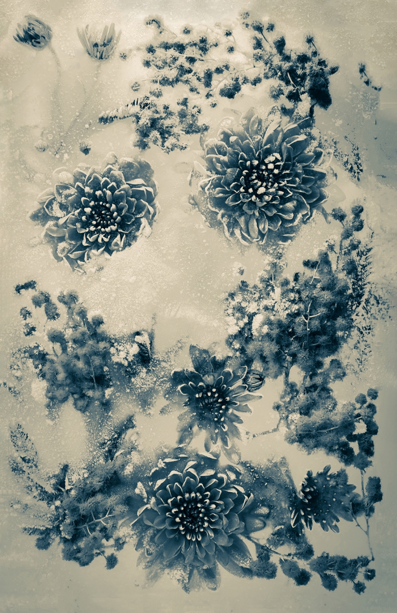 Floral Landscape