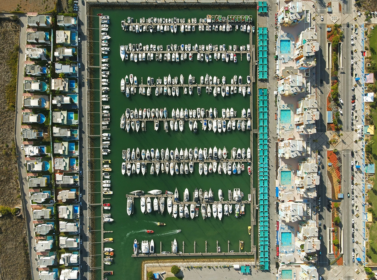 Homo sapiens from above