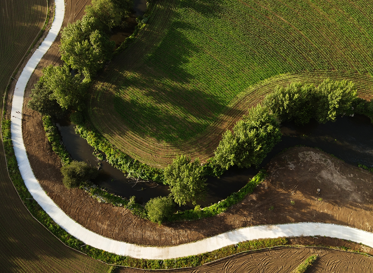 Homo sapiens from above