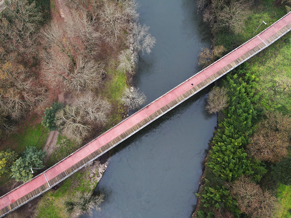 Homo sapiens from above