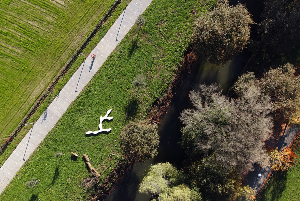 Homo sapiens from above