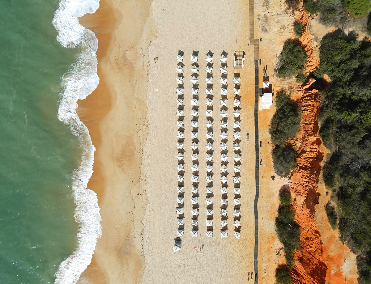 Homo sapiens from above